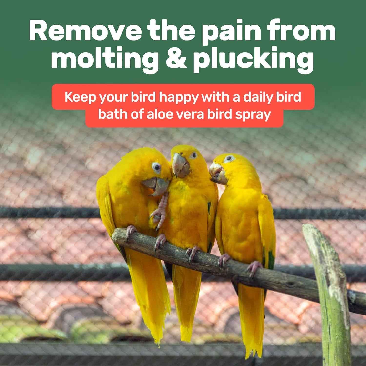 Aloe Vera Bird Spray for Feather & Skin – 8.5oz