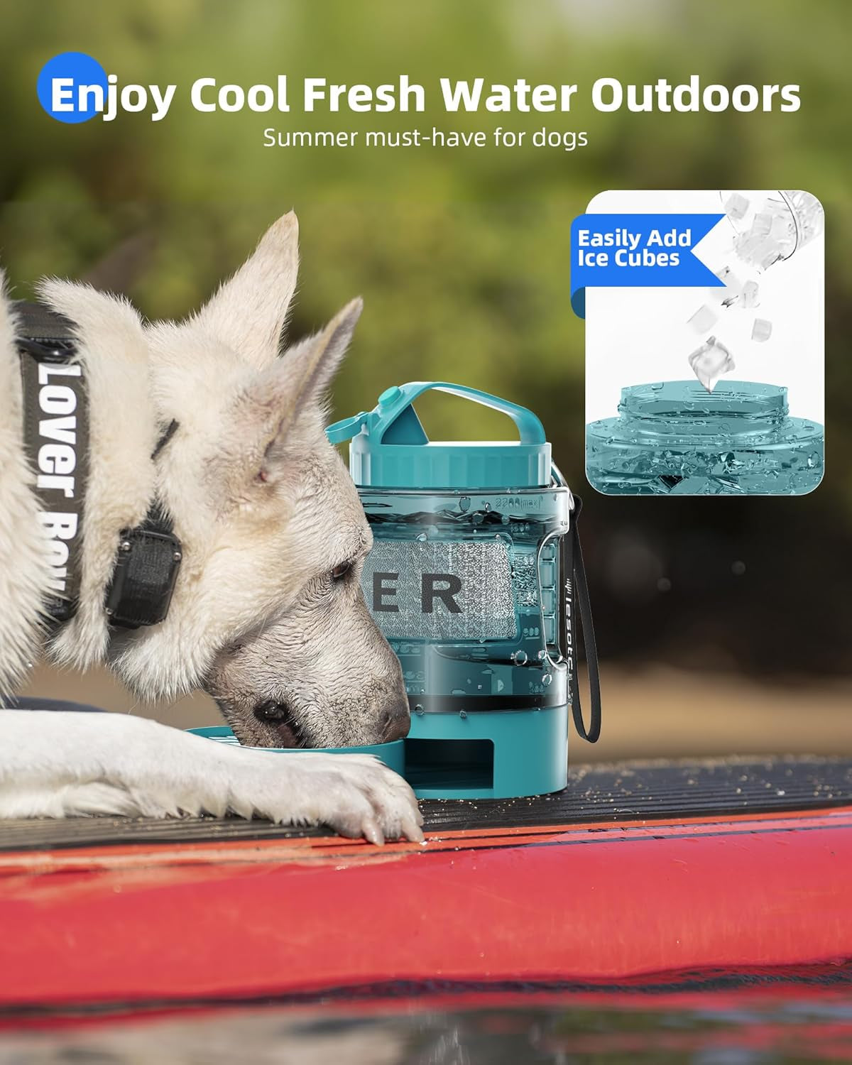 Dog Travel Kit with Water Bottle, Crate Bed & Odor Remover