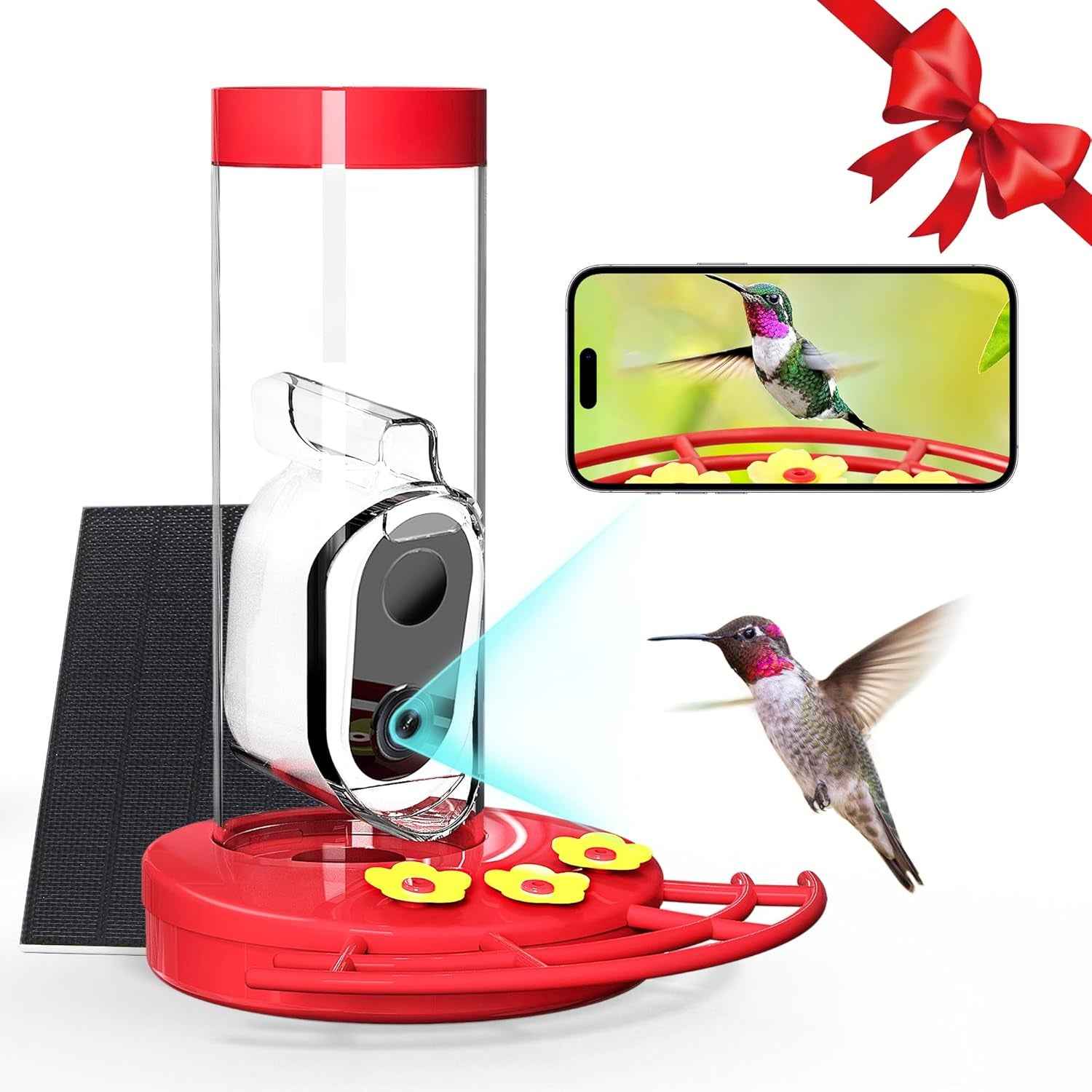 Solar WiFi Hummingbird Feeder Camera with AI Bird ID, 20 oz