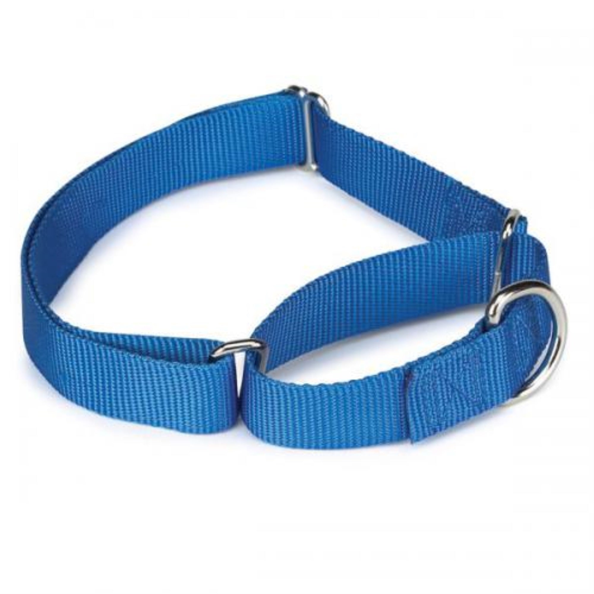 Gg Nylon Martingale Collar 1826In Blue
