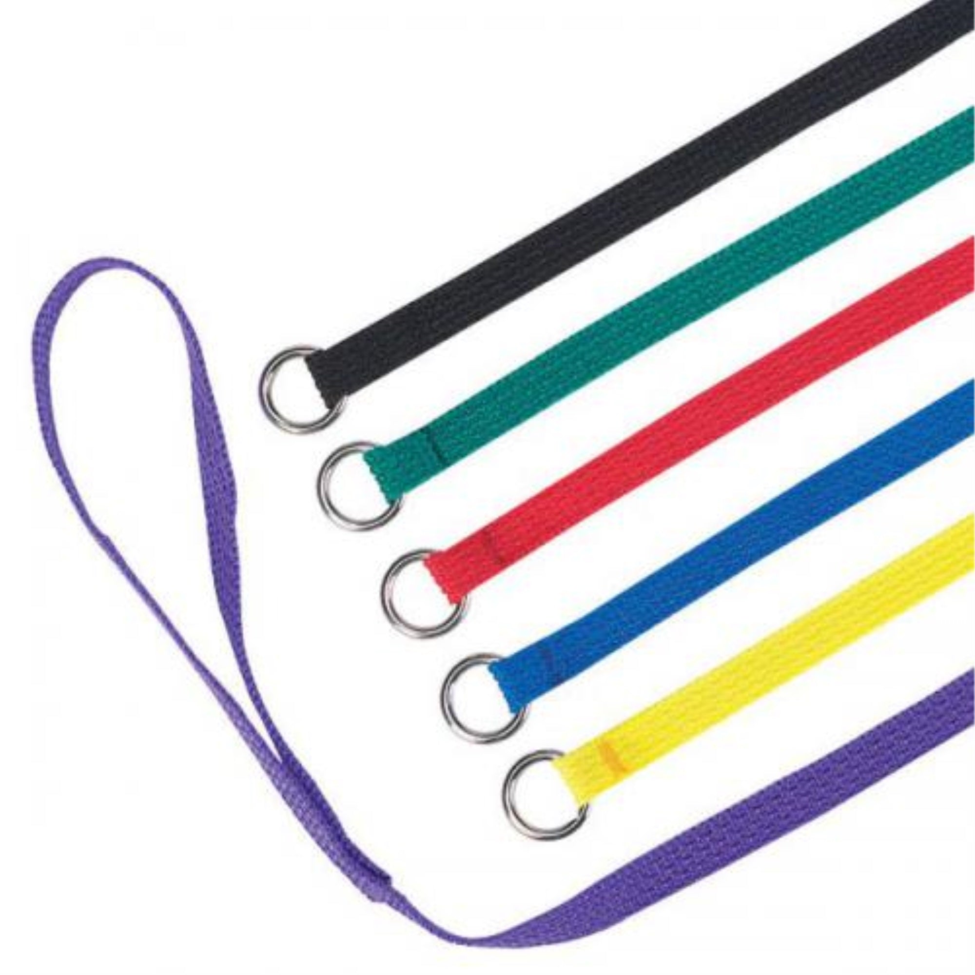Guardian Gear Kennel Leads 6 Ft 6Pack