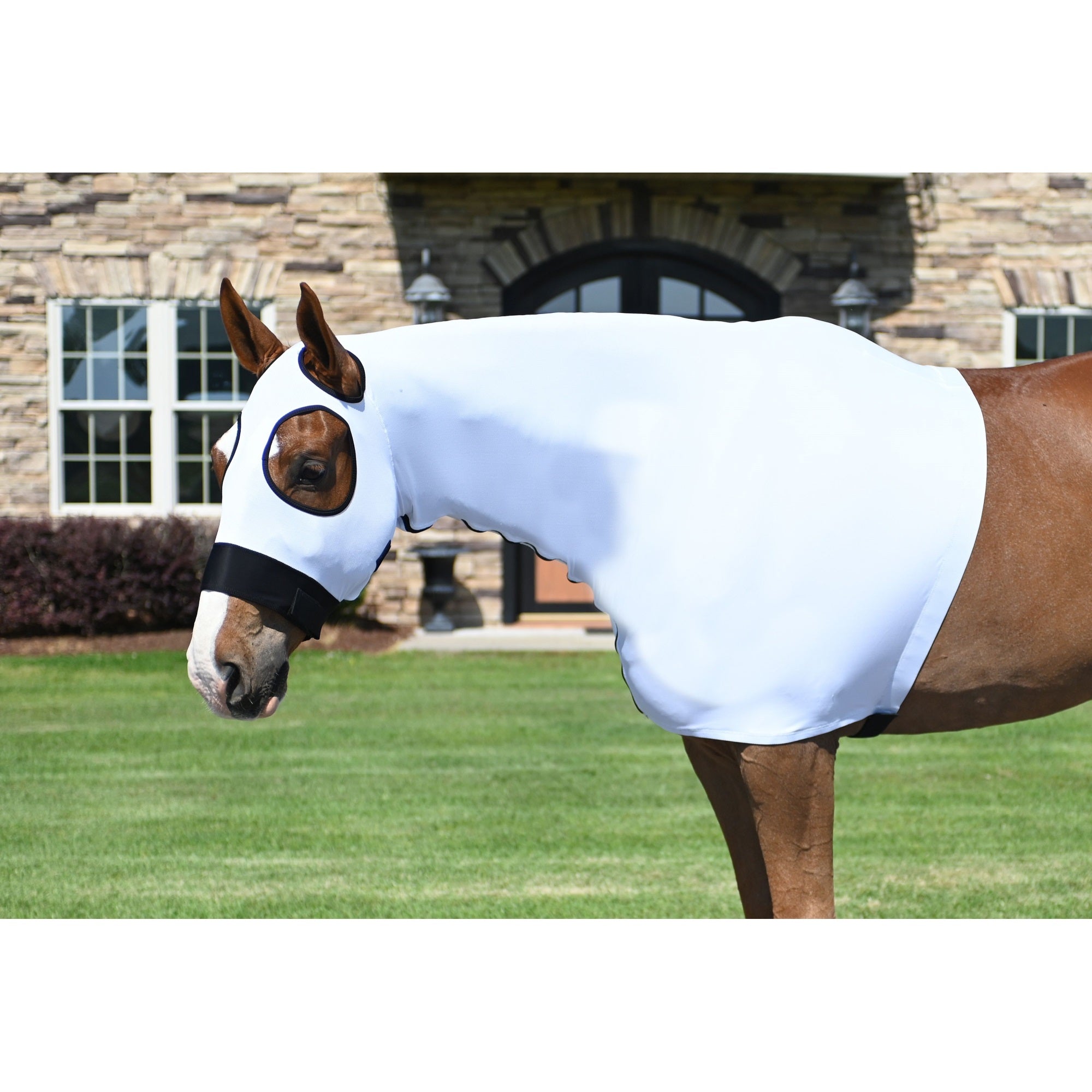 Stretchx Mesh Hood With Zipper M White