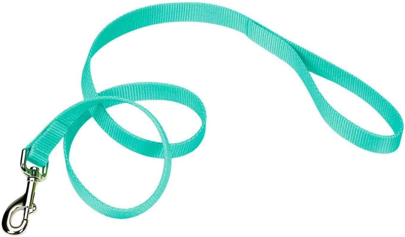 Coastal Pet Single-Ply Teal Nylon Dog Lead Six Feet Long
