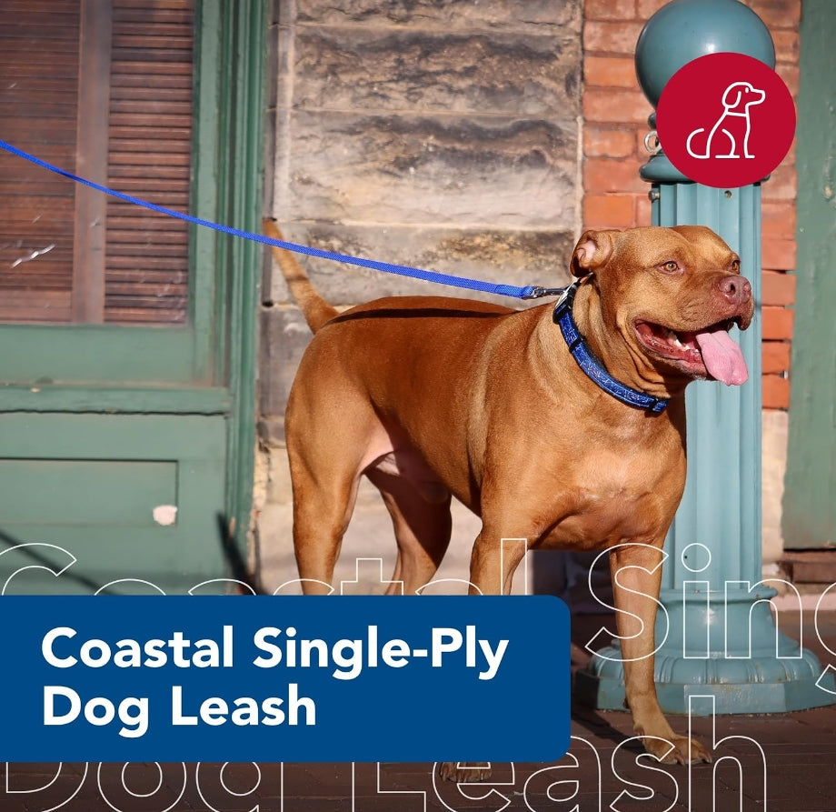 Coastal Pet Single-Ply Teal Nylon Dog Lead Six Feet Long