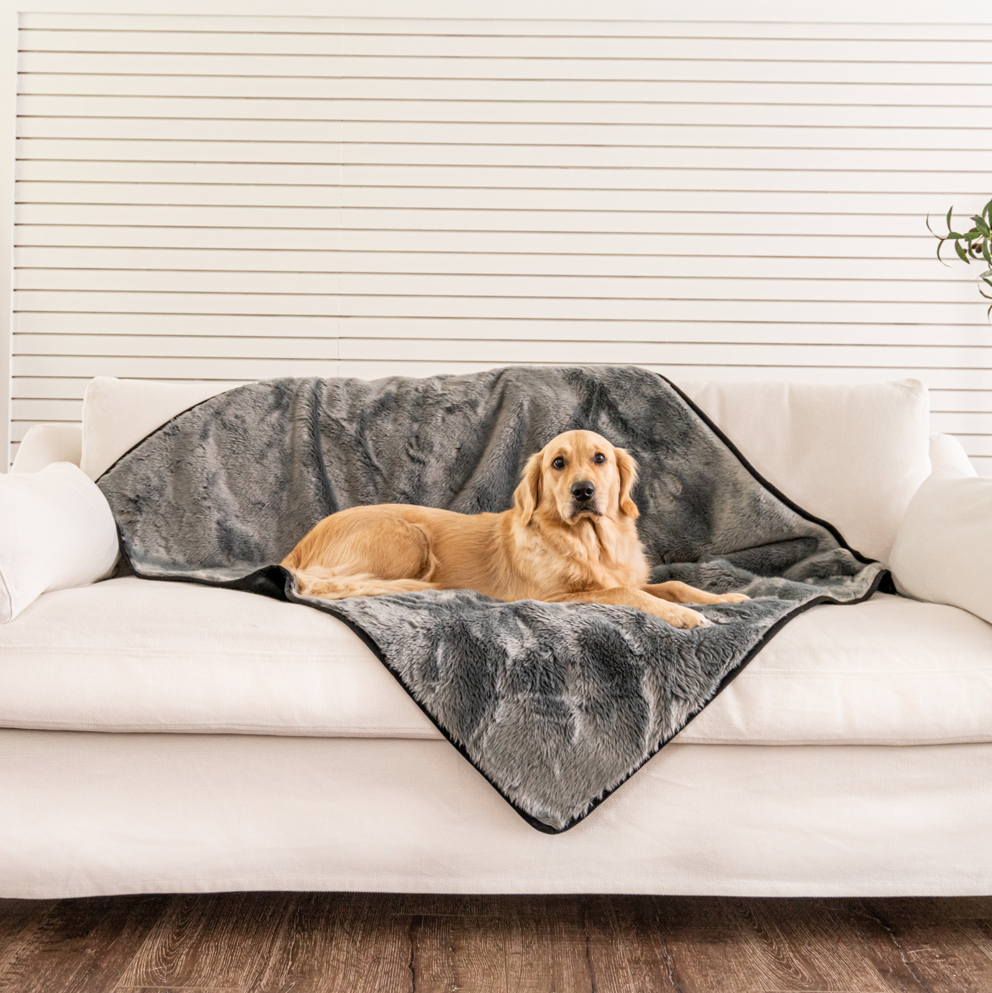 PupProtector™ Summer Short Fur Waterproof Throw Blanket - Charcoal Grey