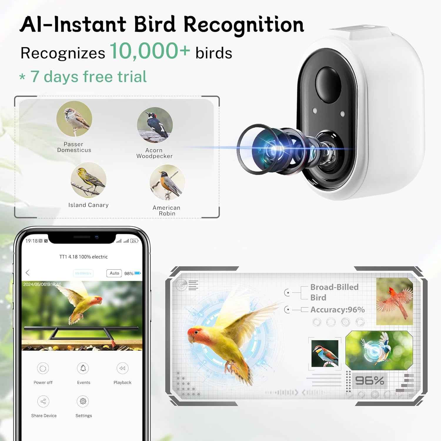 Smart Bird Feeder Camera 1080P AI Bird ID 1.5L