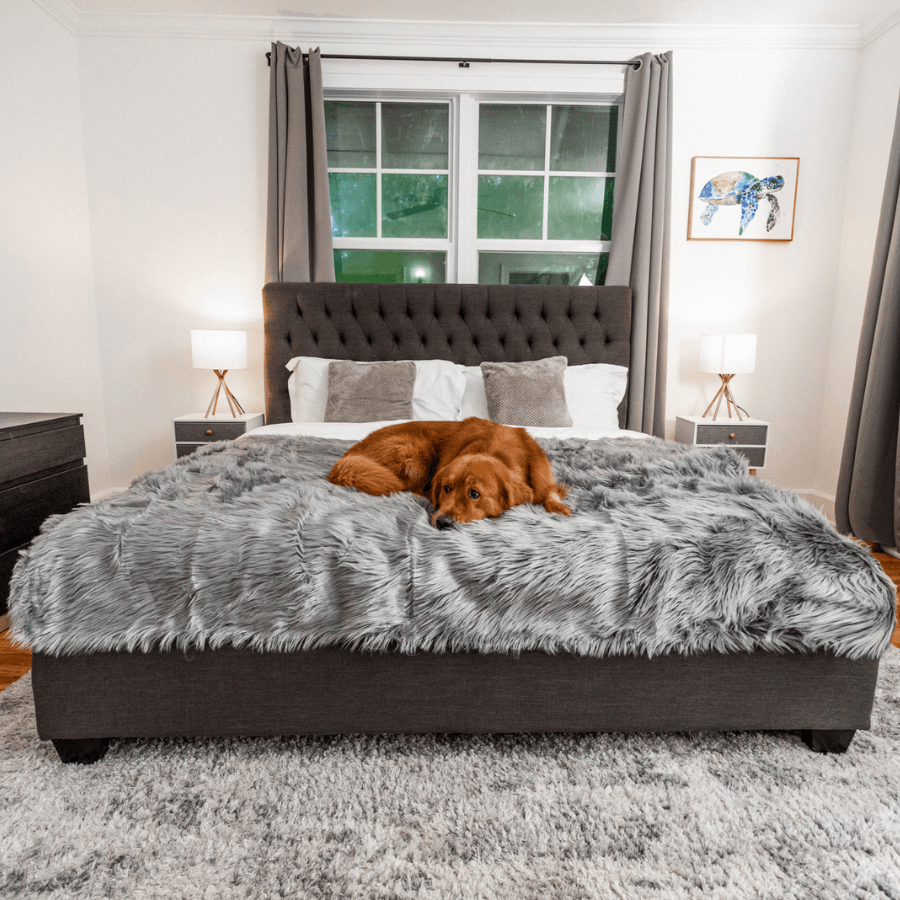 PupProtector Waterproof Throw Blanket - Charcoal Grey