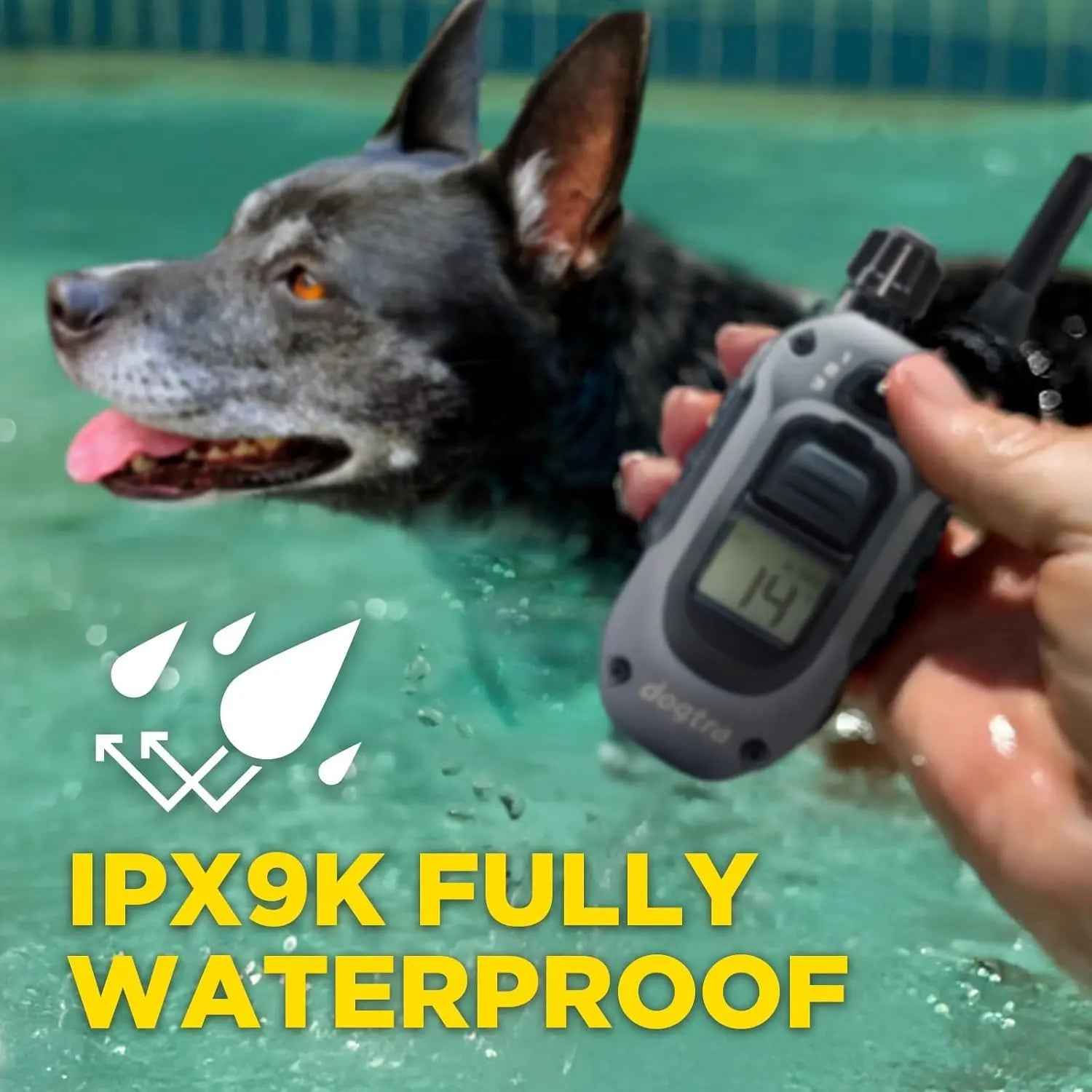 2 Dog Training Collar Remote 1/2 Mile Waterproof LED