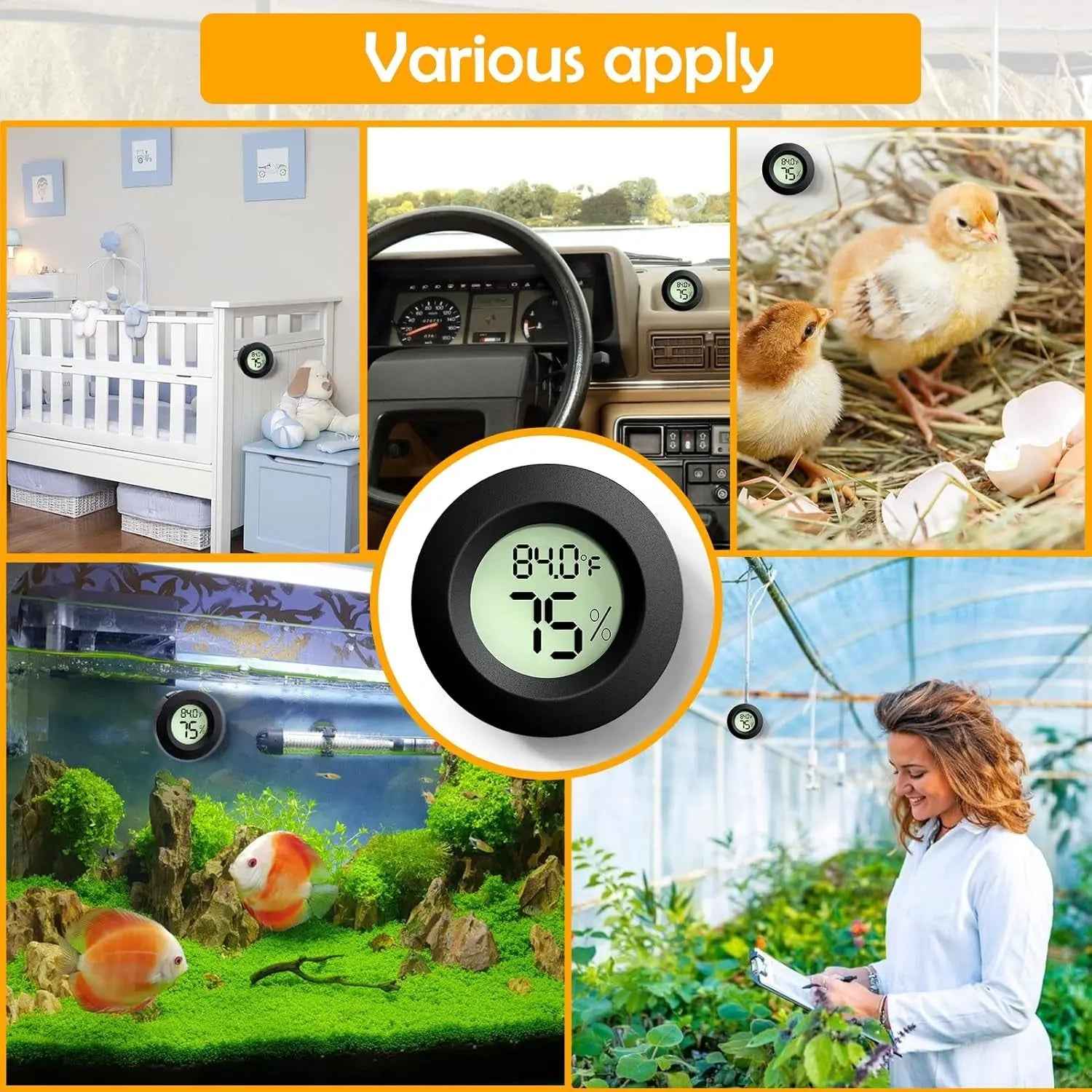 Digital Reptile Thermometer & Hygrometer – 2-Pack or 4-Pack