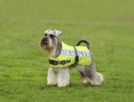 Fancy Feline Flectalon Dog Jacket Hi-Viz 18 In.