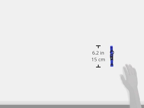 Hamilton Adjustable Nylon Dog Collar, Blue, 5/8' X 12-18'