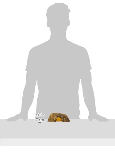 Exo Terra 0015561229319 1 Reptile Cave - Medium, Multicolor