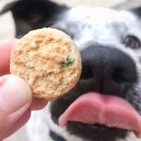 The Lazy Dog Cookie Co. Mutt Mallows Soft Baked Dog Treats, Wheat, Corn & Soy Free, Baked in The USA, 5 oz Cost Saving Variety B