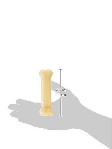 Nylabone Pooch Pacifier Regular