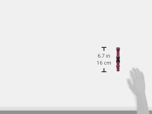 Lupinepet Eco 3/4' Berry 9-14' Adjustable Collar For Small Dogs