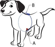 The Original Sense-Ation No-Pull Dog Training Harness (Blue, Medium-Large Narrow)