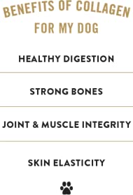 TRURANCH Collagen Sticks - 5 Collagen Sticks for Dogs - Long Lasting Healthy Joint Support Dog Treat - Rawhide Alternative - Ski