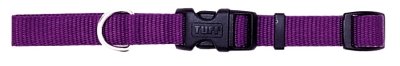Coastal Pet Nylon Dog Collar Purple