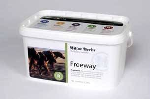 Hilton Herbs Freeway Herbal Supplement for Healthy Respiratory System for Horses, 1kg Tub