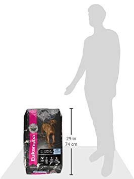 Eukanuba Adult Large Breed Dry Dog Food, 16 lb
