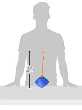 Nerf Dog Tug Ray Interactive Squeaker Toy, Lightweight & Durable, 14 for Medium/Large Breeds, Blue/Orange