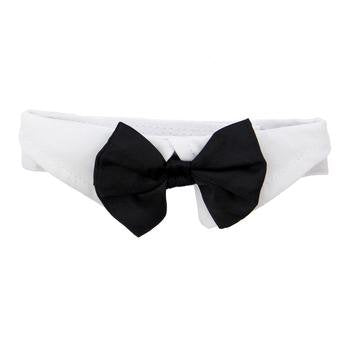 Dog Bow Tie Collar - Black, Medium