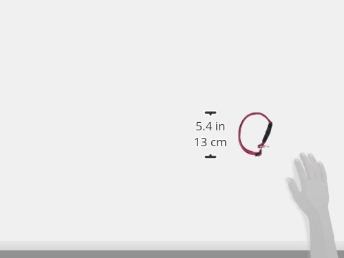 Eco By Lupine 1-Inch Recycled Fiber Collar, Adjustable For 12 To 20-Inch Medium To Large Dogs, Berry