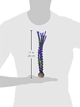 Biorb Blue/Purple Plant Pack