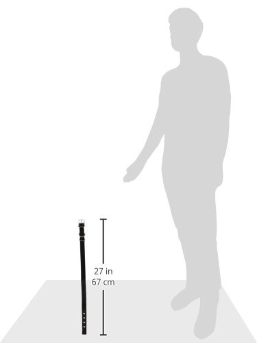 Hamilton Double Thick Nylon Deluxe Dog Collar, 1-Inch By 26-Inch, Black