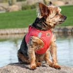 Doggie Design No Choke Dog Harness - Simple Step-in and Go Dog Vest for Small, Medium, and Large Breeds - Breathable Mesh Polyester Pet Harness - Coral - XS