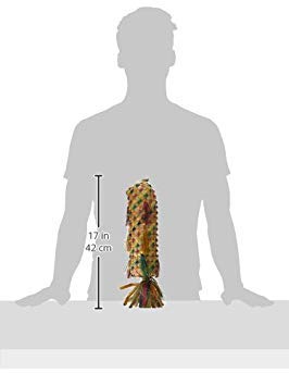 Planet Pleasures Spiked Pinata Sale Pinatas Natural Bird Toy, X-Large/17