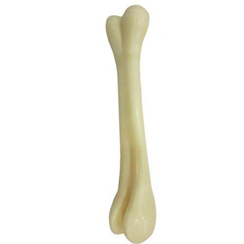 Pet Believe Plastic Dog Bone Chew Toy, Puppy Teething Toy, 9 Inches