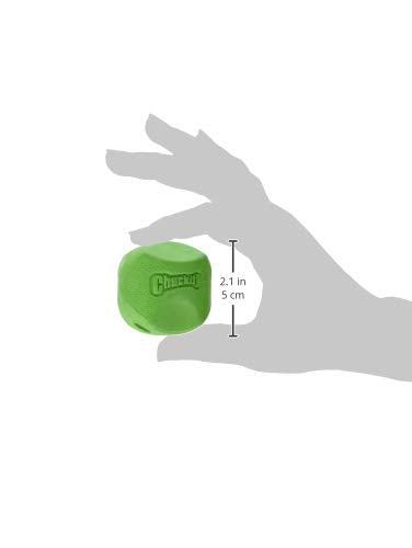 Chuckit! Erratic Ball Dog Toy, Small, 2 Pack