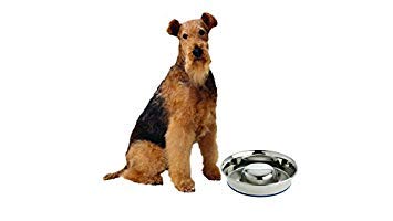 Our Pets Durapet Slow Feed Premium Stainless Steel Dog Bowl, Silver, Large (2040010302)