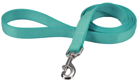 Coastal Pet Double-Ply Dog Leash - Bolt Snap Attachment To Collars And Harnesses - Nylon Dog Walking Leash For Small, Medium And Large Dogs - Teal - 1' X 6'