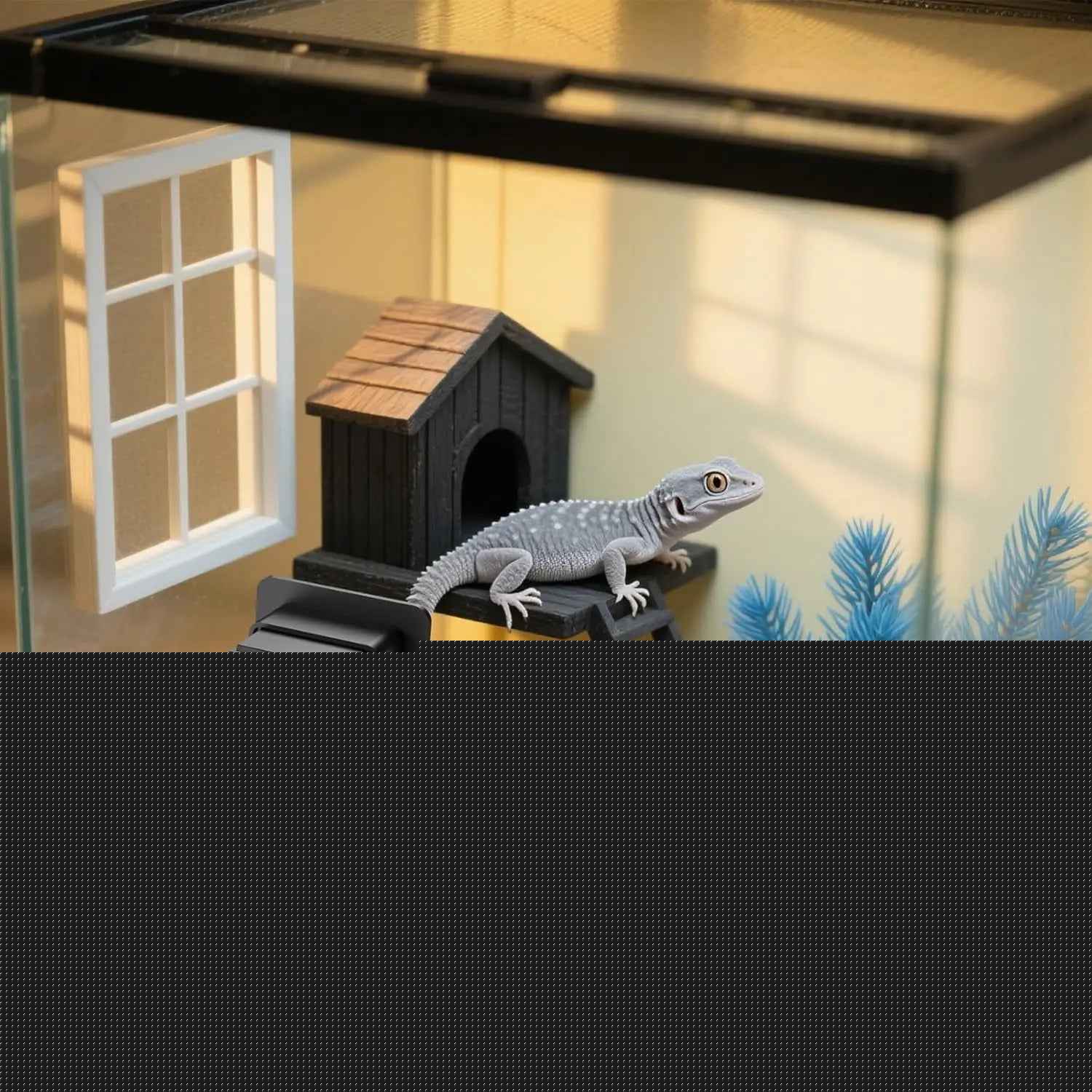 2K HD Aquarium WiFi Camera with Night Vision & Smart Monitoring