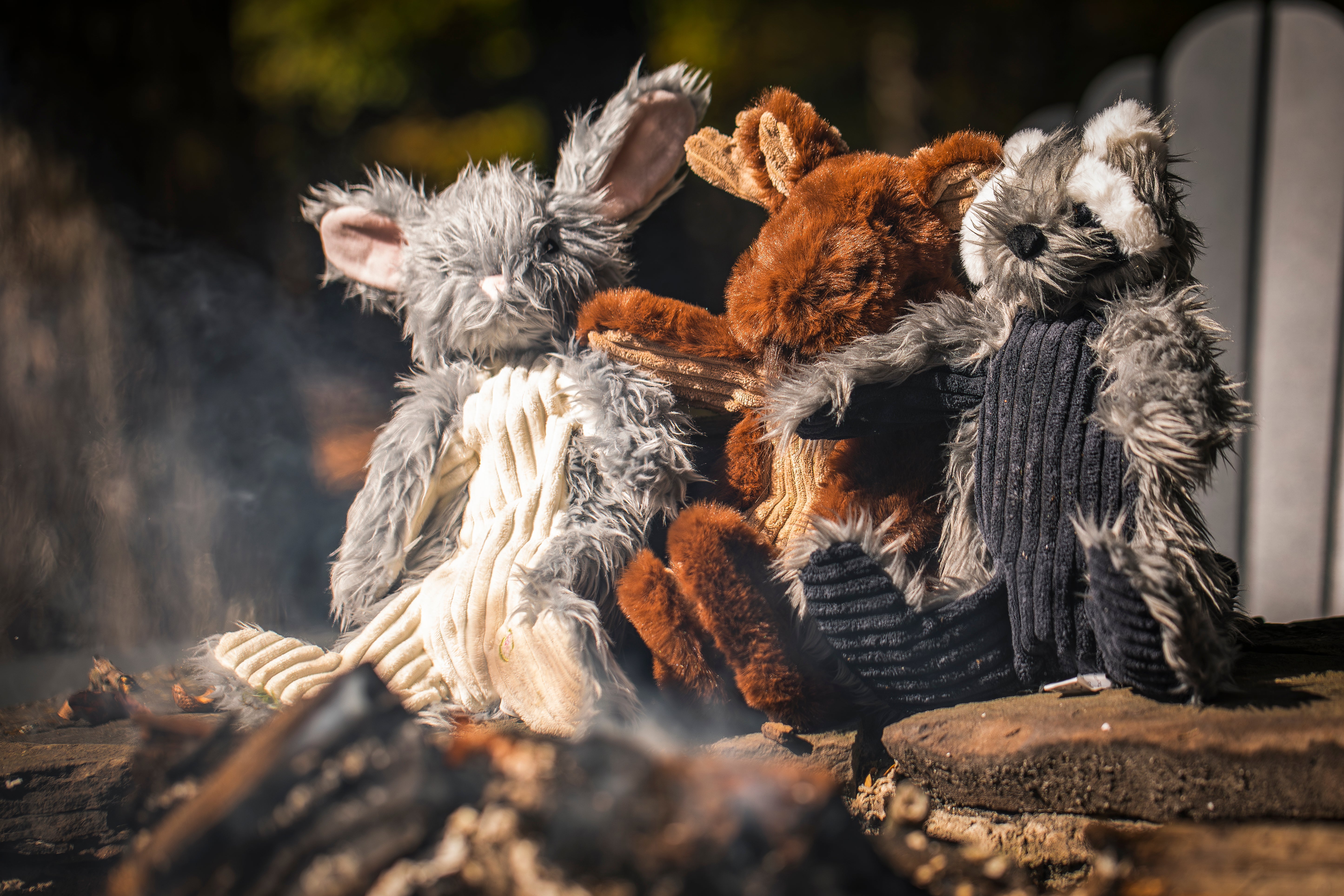 Redwood Raccoon X-Brace® Plush Dog Toy