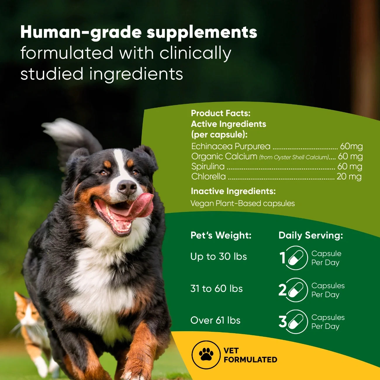 Spirulina & Chlorella