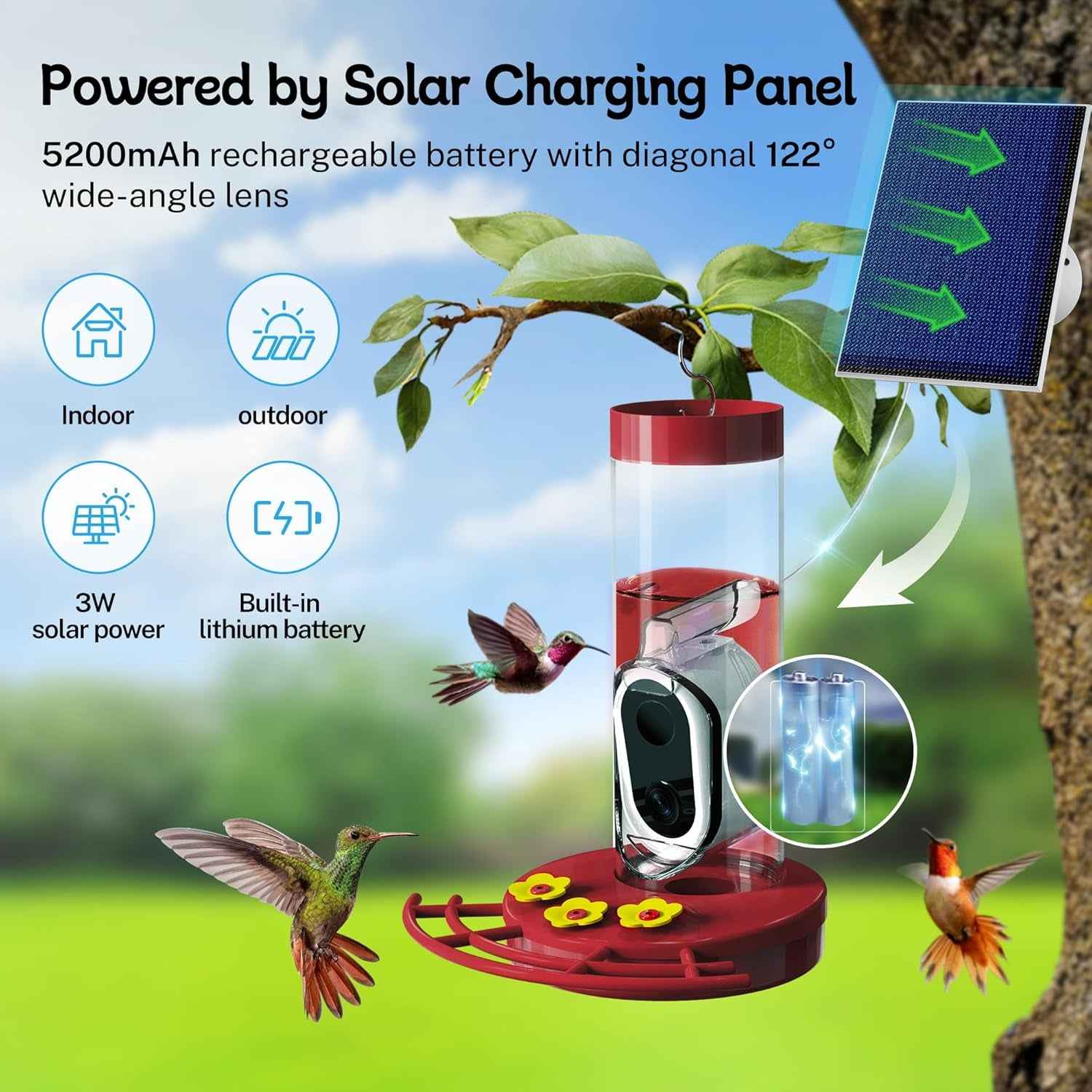 Solar WiFi Hummingbird Feeder Camera with AI Bird ID, 20 oz