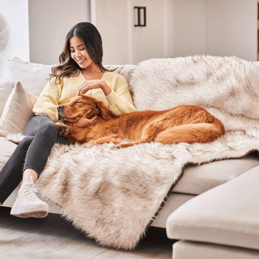 PupProtector Waterproof Throw Blanket - White with Brown Accents