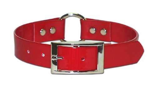 Omnipet Sunglo Ring-In-Center Dog Collar, 1' Wide, Red, Fits 20.5'- 24' Neck Sizes, Vibrant Colors & Tough Construction For A