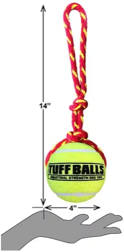 Petsport Giant Fling Thing Dog Toy, 4-Inch