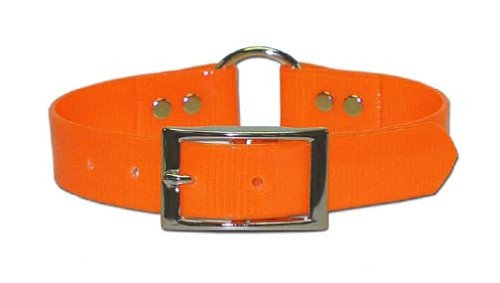 Omnipet Sunglo Ring-In-Center Dog Collar, 1' Wide, White, Fits 18.5'- 22' Neck Sizes, Vibrant Colors & Tough Construction For