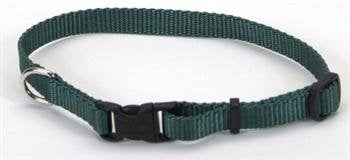 Coastal Pet Nylon Dog Collar Hunter Green