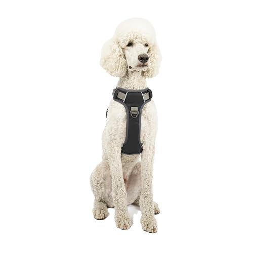 Embark Adventure Dog Harness, No Pull Dog Harness With 2 Leash Clips, Dog Harness For Medium Dogs No Pull. Front & Back With Control Handle, Adjustable Black Dog Vest, Soft & Padded For Comfort