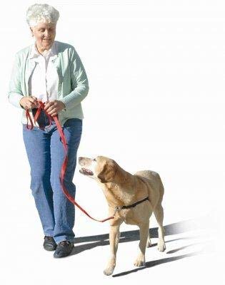The Original Sense-Ation No-Pull Dog Training Harness (Pink, Medium-Large Wide)
