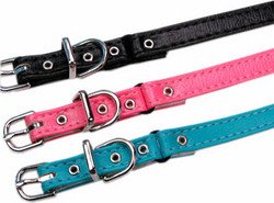 3/8&quot; Plain Cat Safety Collar Purple 12