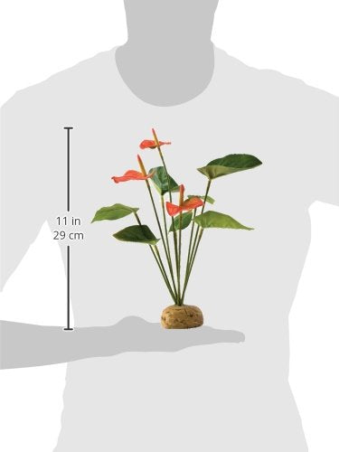 Exo Terra Anthurium Bush Terrarium Plant