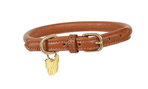 Digby & Fox Rolled Leather Dog Collar (Xx-Large, Tan)