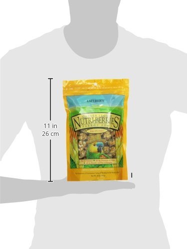 LAFEBERS Nutri-Berries Parrot Food 2 Flavor Variety Sampler Bundle, (1) Each: Sunny Orchard with Cranberries Apricots Dates, Ga